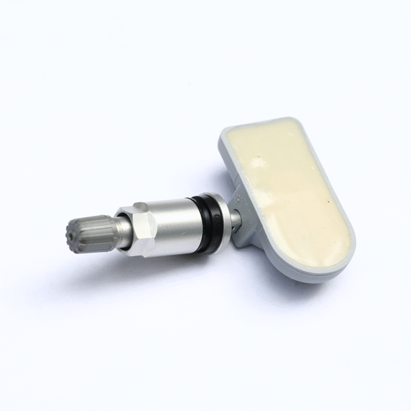 ECS1420CN Tire Pressure Sensor – Valve Close-up